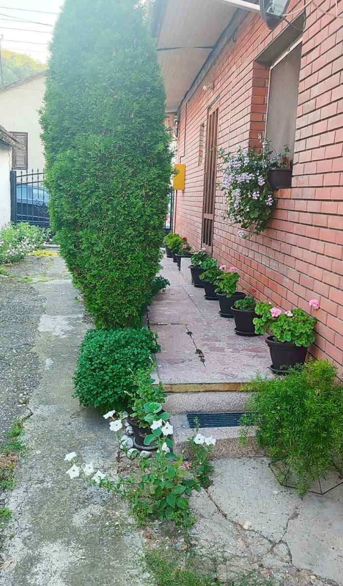 Prizemna trosobna kuća u centru Sremskih Karlovaca – Sremski Karlovci | Linea Casa