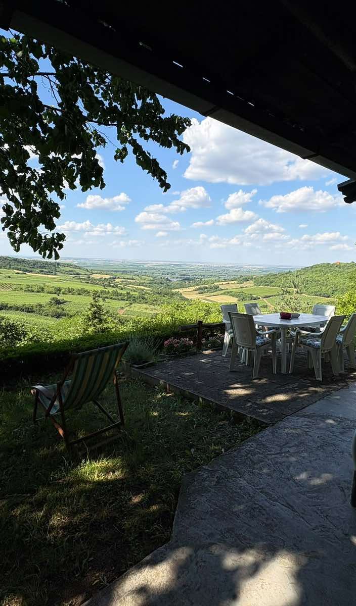 Jedinstvena nekretnina sa prelepim pogledom! – Sremski Karlovci | Linea Casa
