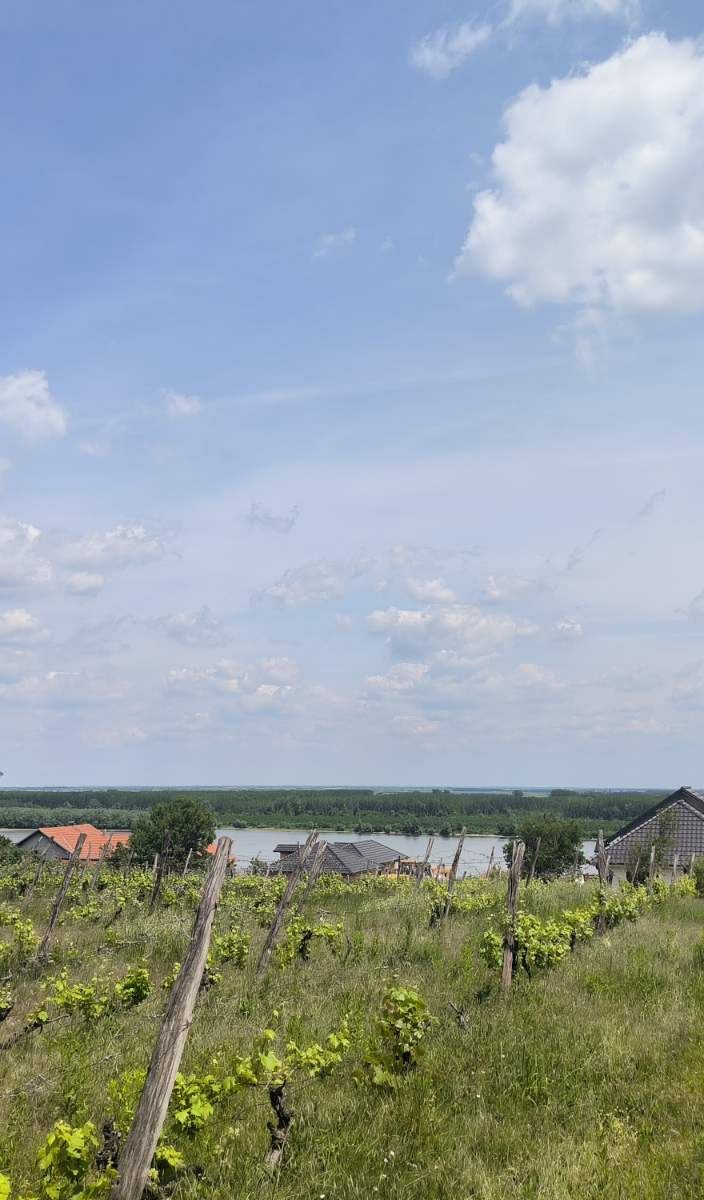 Sremski Karlovci - Gradjevinski plac sa pogledom na Dunav – Sremski Karlovci | Linea Casa